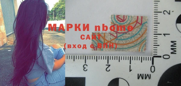 a pvp Бородино