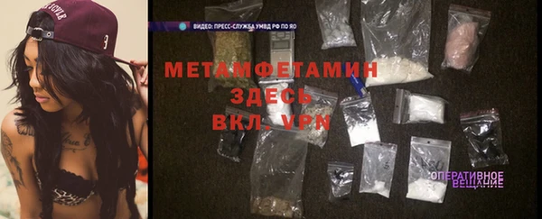 индика Бронницы