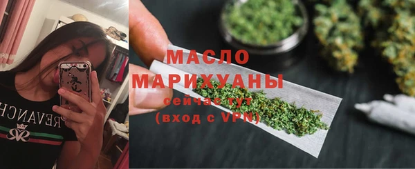 индика Бронницы