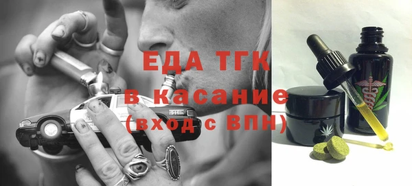 индика Бронницы
