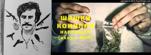 a pvp Бородино