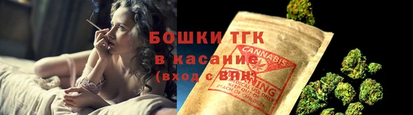 индика Бронницы
