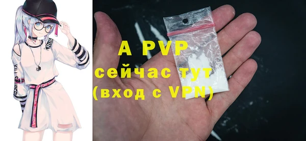 a pvp Бородино