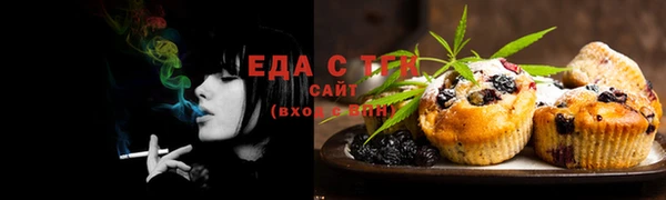 индика Бронницы