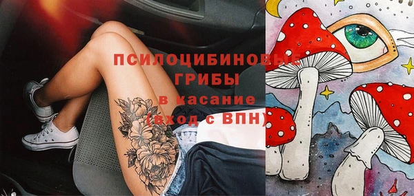 ешки Бугульма