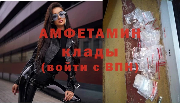 индика Бронницы