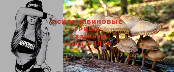 индика Бронницы