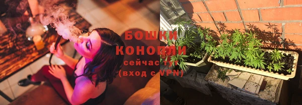 дживик Бикин