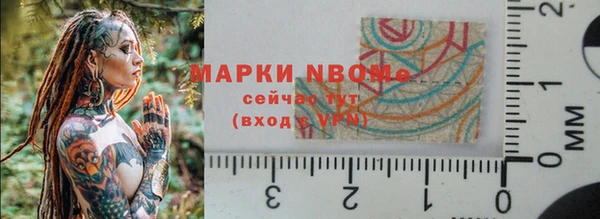 a pvp Бородино